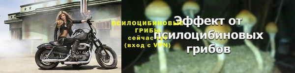 наркотики Белокуриха
