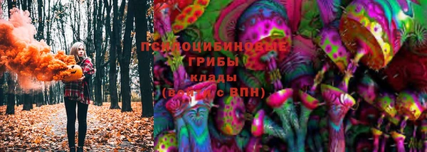 наркотики Белокуриха